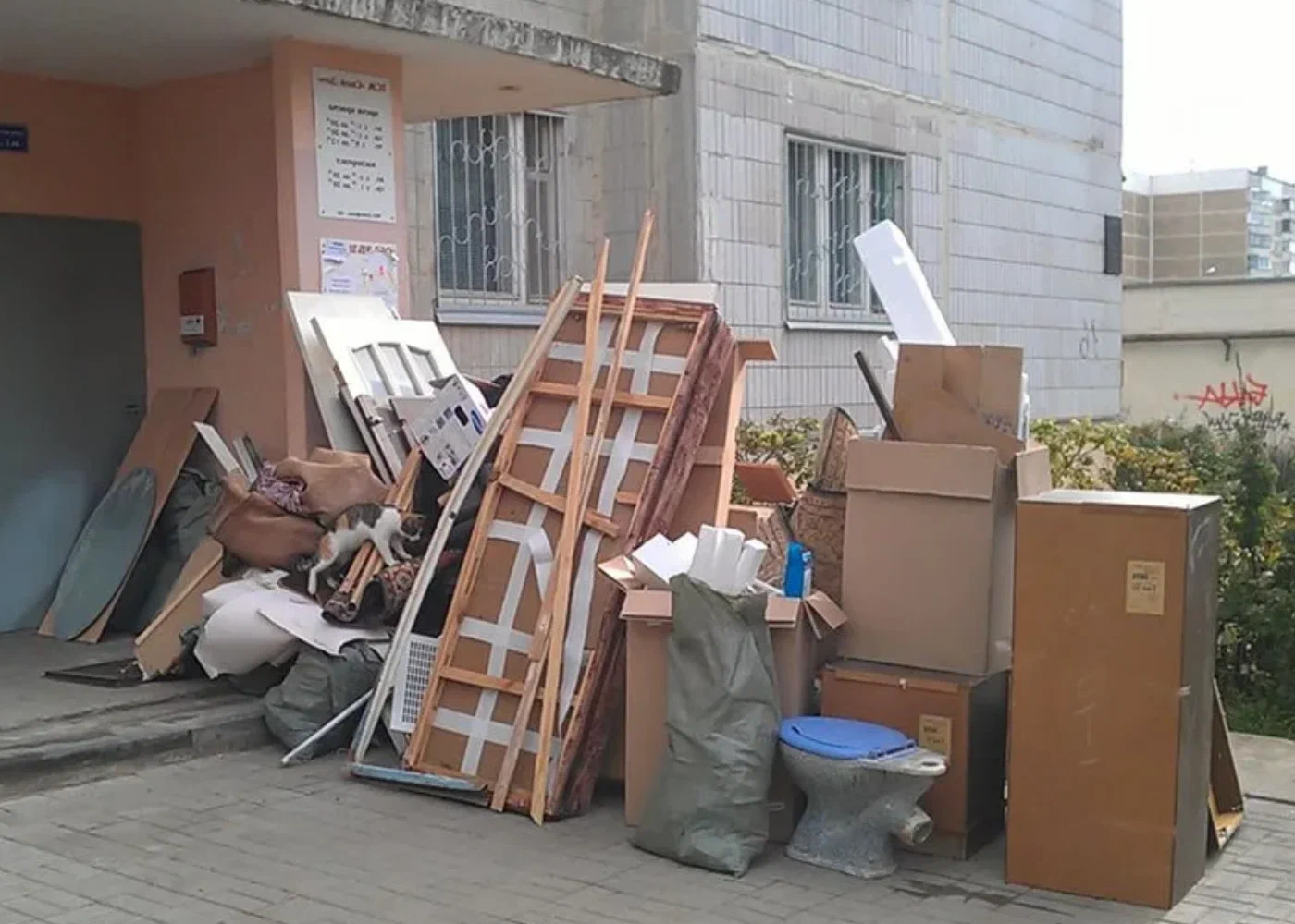 Профессиональный вывоз мусора из квартиры в Чайковском в октябре