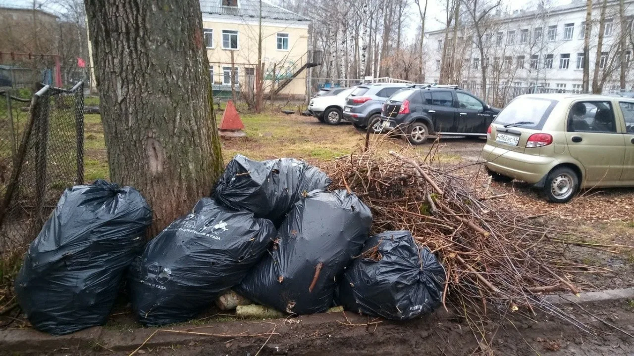 Вывоз мусора после субботника в Чайковском от ПроМусор – уборка и утилизация отходов от 2378 руб