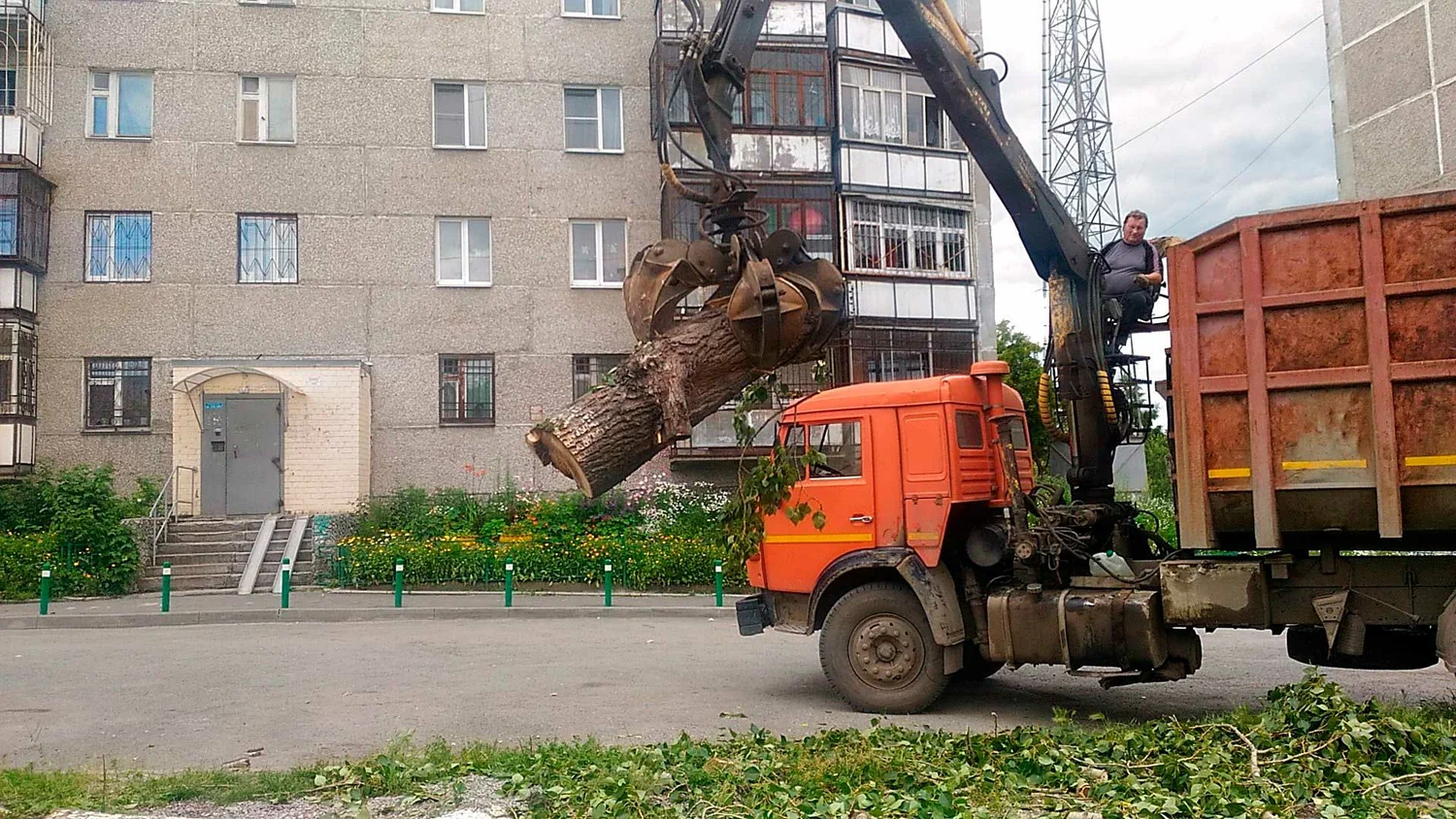 Вывоз спиленных веток и деревьев в Чайковском от ПроМусор: порубочные остатки, утилизация, цена от 2935 руб