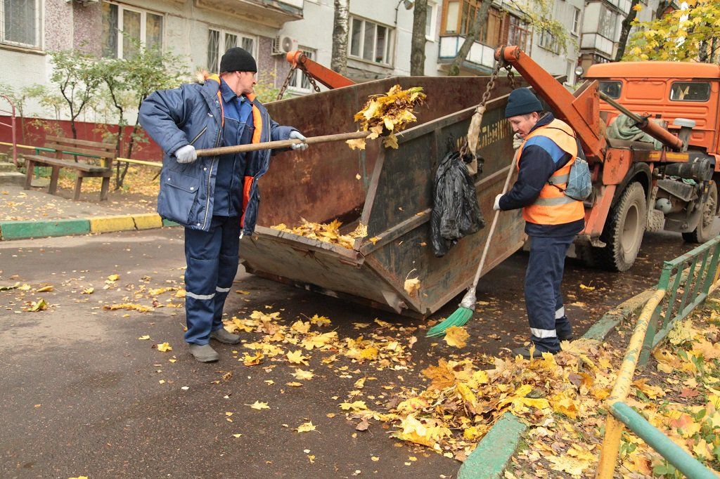 Вывоз опавшей листвы и растительного мусора в Чайковском от ПроМусор – цена от 4554 руб., быстрая уборка и утилизация